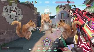 Savage Ace Valorant ( Squirrel Dance )