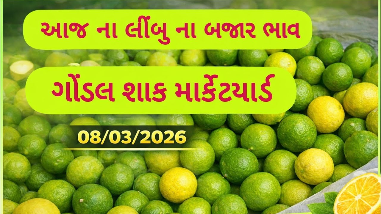 લીંબુ ના બજાર ભાવ l 08/03/2026 l ગોંડલ માર્કેટયાર્ડ  l Bhavesh Thummar #trending #youtube #viral 