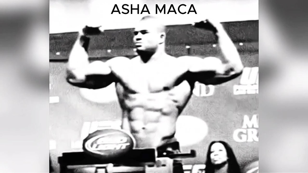 ASHA MACA - 𝔹ℝ𝕌𝕋𝔼 𝔽𝕆ℝℂ𝔼 (SPED-UP)