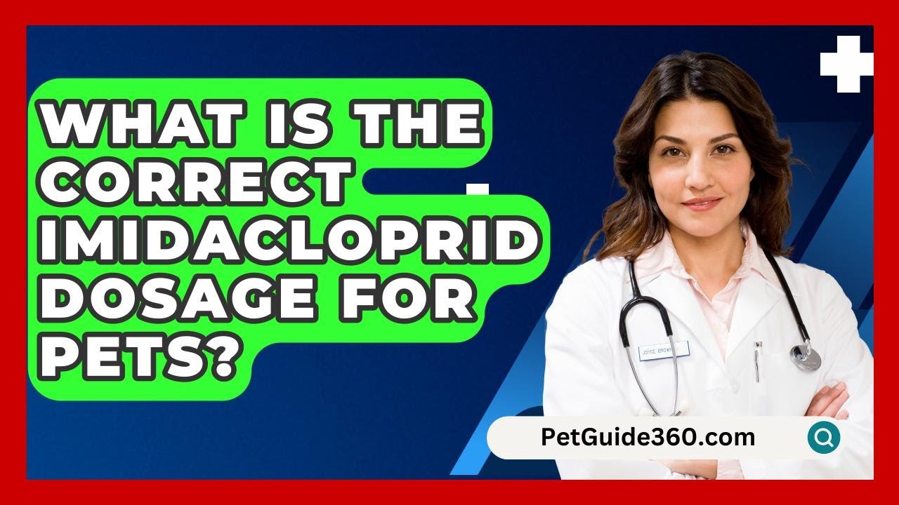 What Is The Correct Imidacloprid Dosage For Pets? - PetGuide360.com