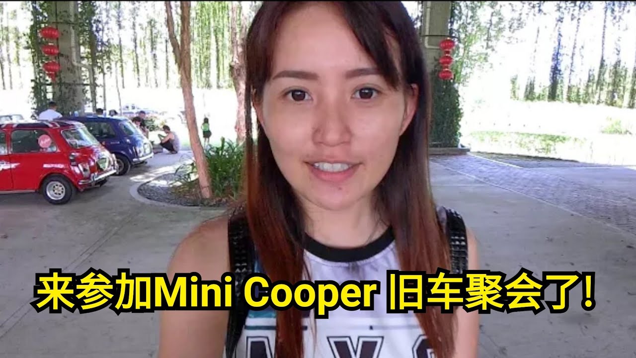 mini旧车聚会 aquarium plants