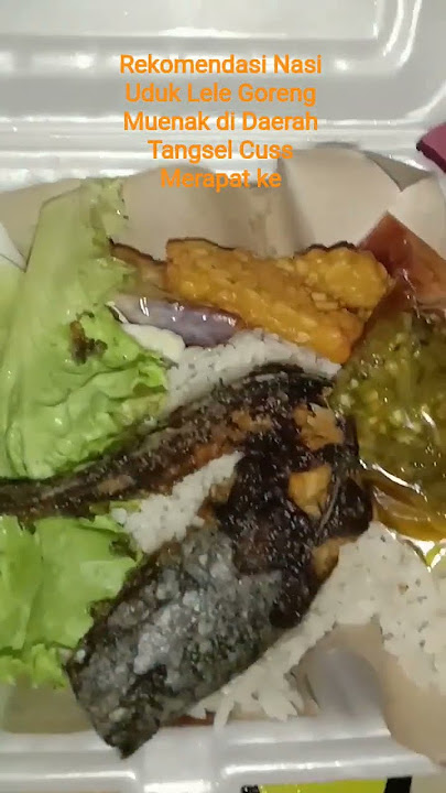 Nasi Uduk Ikan Lele Goreng Rekomendasi murah meriah cuman Rp.8 ribuan aja