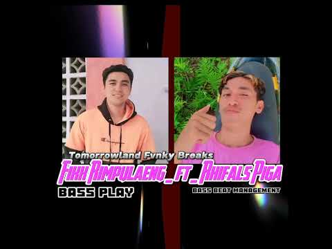 TOMORROWLAND Fvnky Breaks