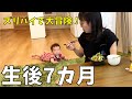 【生後7カ月育児ルーティン】ズリバイで大冒険♥新居での新生活