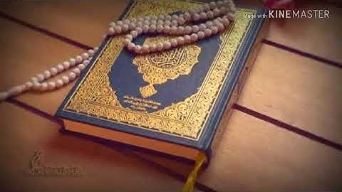 " افمن شرح الله صدره للاسلام"❤||حالات واتس قرآن كريم