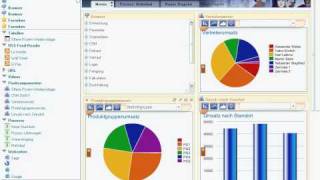 Sage X3 Erp 1 - Video Only Ca-Plus Www.caplus.com