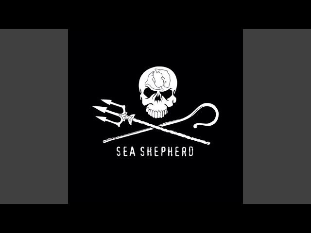 CURE FOR ME - HARDTEKK - SEA SHEPHERD (SPED UP)