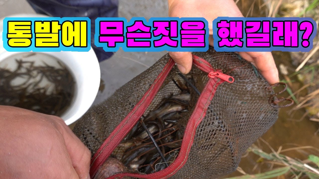 으슥하고 어두컴컴한 곳 !!  통발로 잡아보자~~~/Catch the loach in the dark and dark.
