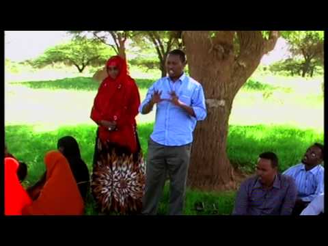 CLTS   Unicef - Somalia - 2015 (SOM)