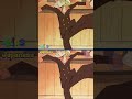 4Kids Censored Zoro vs Helmeppo! | #4kids #onepiece censorship