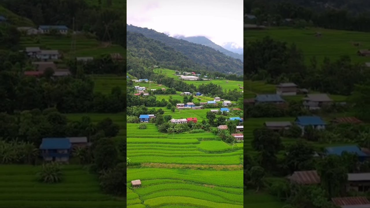 Sejepa | Panchthar | Village |