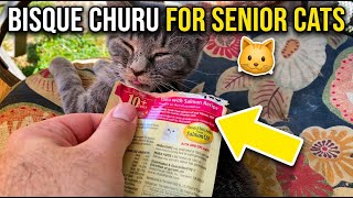 Inaba Churu Bisque Lickable Treat For Senior Cats Tested
