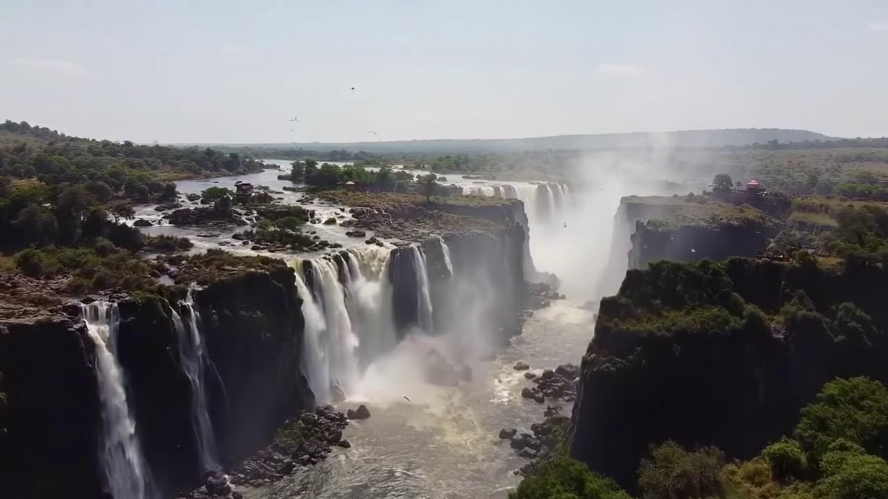 Top Country Music Stars Live 24/7 - Dolly Parton, Willie Nelson, Conway Twitty