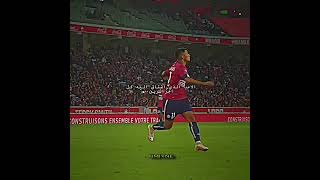 #football #algeria #morocco #ucl