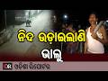 ନିଦ ଉଡ଼ାଇଲାଣି ଭାଲୁ | Odisha Reporter