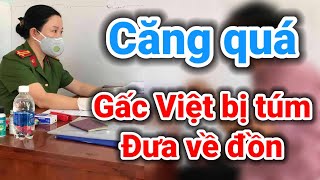 Căng quá Gấc Việt bị tóm đưa về đồn | Gấc Việt