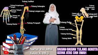 Bagian-bagian Tulang Aggota gerak Atas dan Bawah serta Fungsinya #WeAreInul