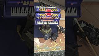 #Hammersmith #London #Londyn #piano