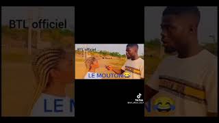 Différence entre la chèvre et le mouton