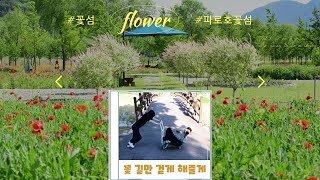파로호 영상