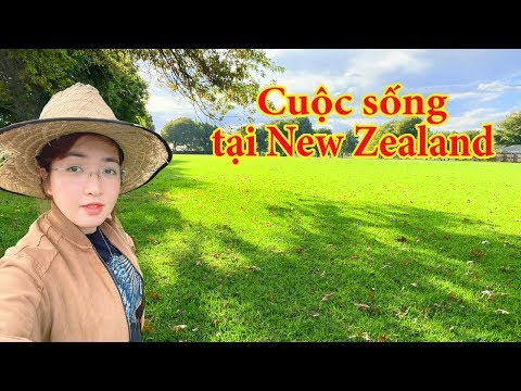 Video: 8 Điều Hàng Đầu Nên Làm Ở Hamilton, New Zealand