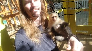 Cute Monkey Tries To Take My Camera In Honduras. by Earthling1984 494 views 1 year ago 34 seconds