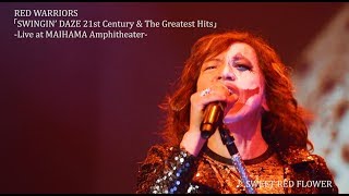 RED WARRIORS  SWINGIN’ DAZE 21st Century & The Greatest Hits Live at MAIHAMA Amphitheater トレーラー映像