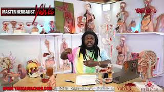 WE ARE BEING FORCED TO BE SELF SUSTAINING!! THE MATIX IS BROKEN! ReUploaded  #YahkiTV #YahkiAwakened