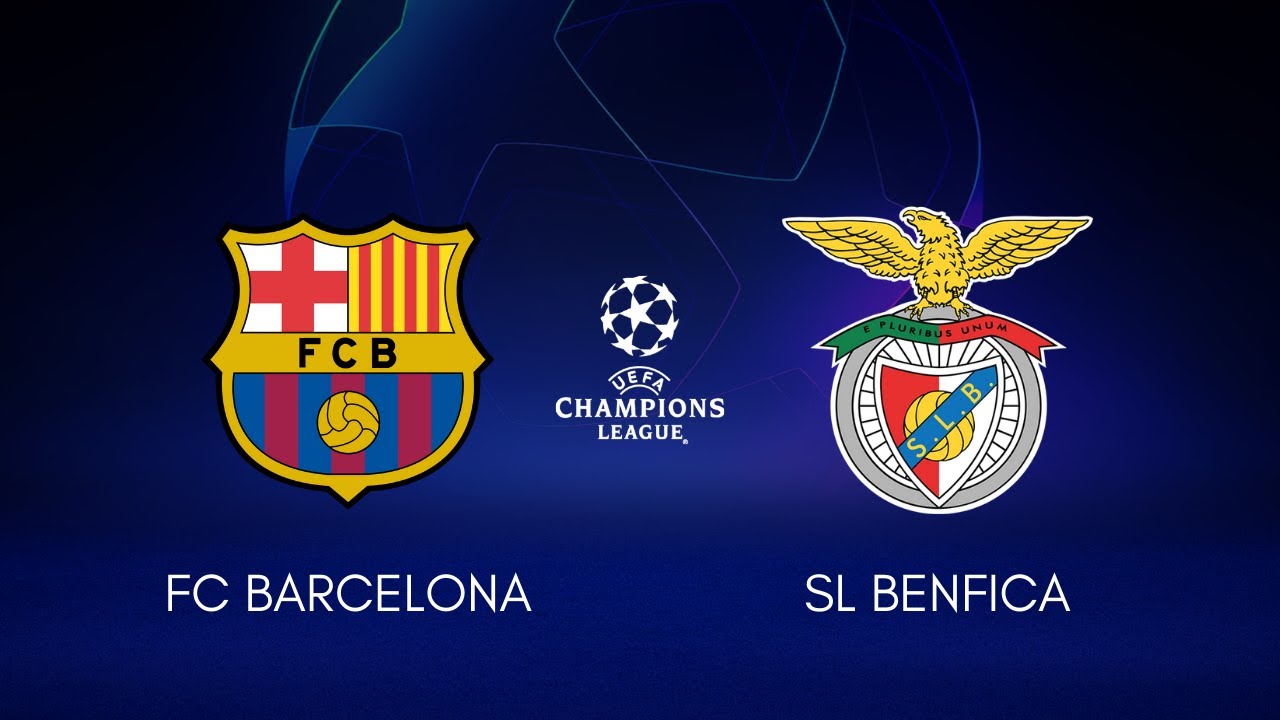 camisa polo com bolso vetor