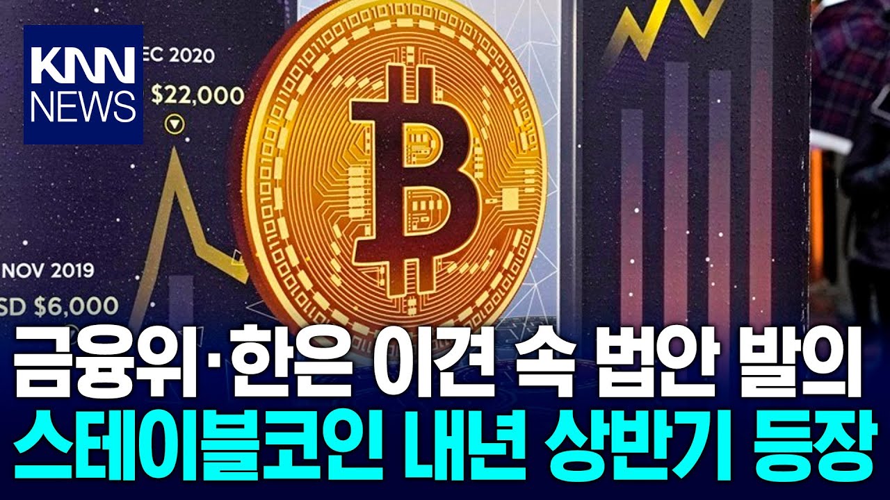 스테이블코인 제도화 가속화…민주당, 내년 1월 법안 발의 예고 / KNN