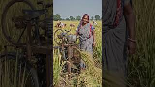 🔥 किसान भाई का कमाल! देसी जुगाड़ से बना दी धान काटने वाली मशीन 😱🚜#farming