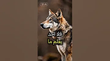عندما لاتعرف ضروف الناس أغلق ولاتتفلسف حياة حكم أقوال Shorts إلهام تحفيز نصائح حياتية 