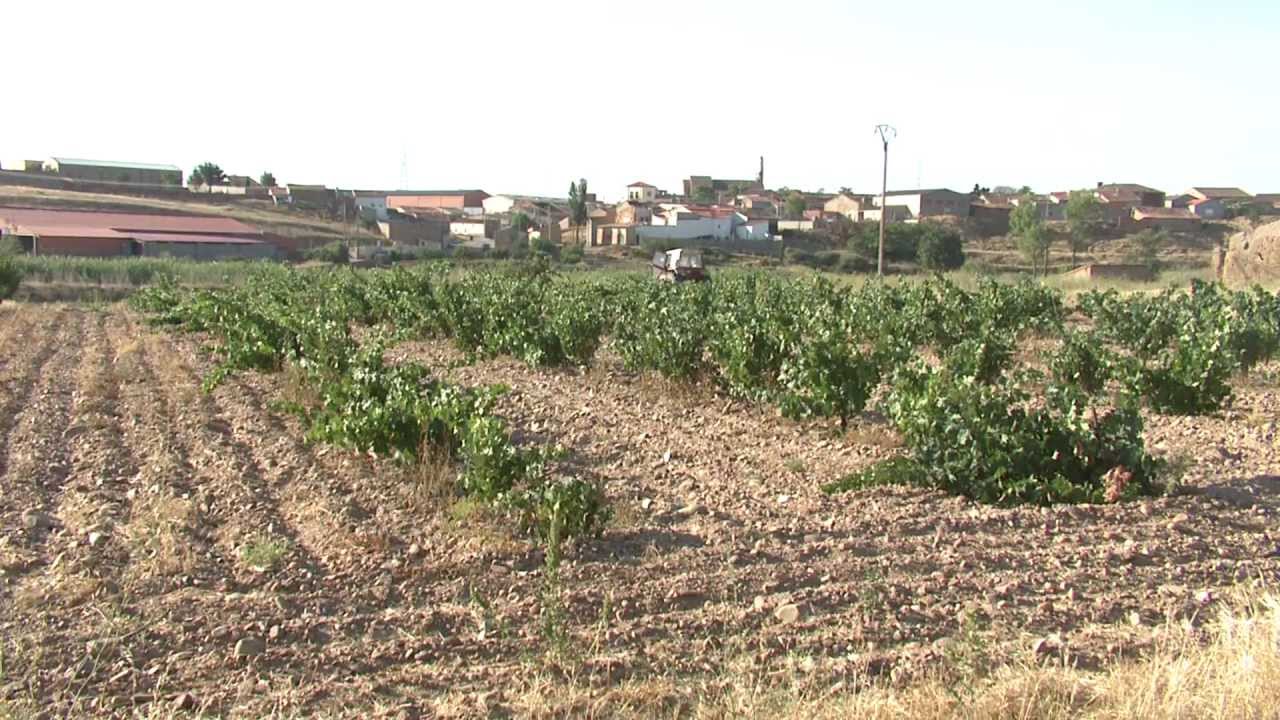 Cerecinos del Carrizal
