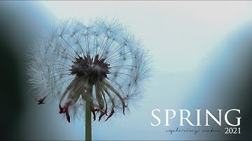 SPRING-2021 | A SHORT VIDEO #SPRING