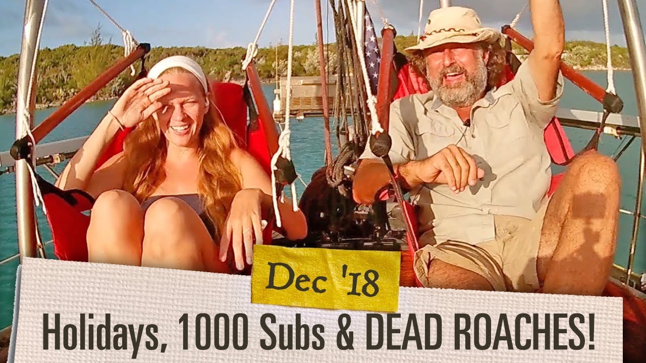 Ep. 1.12 1000 Subs, Holidays and DEAD ROACHES! [Adventure Log December 2018]