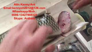 YT-1800 Fish Head cutting machine, fish tail cutting machine