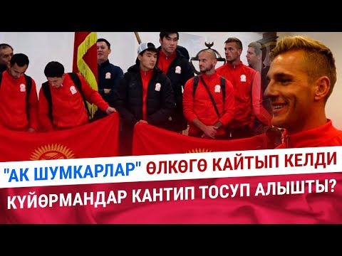 Video: Үйдө учуп бараткан кекирти кантип багуу керек