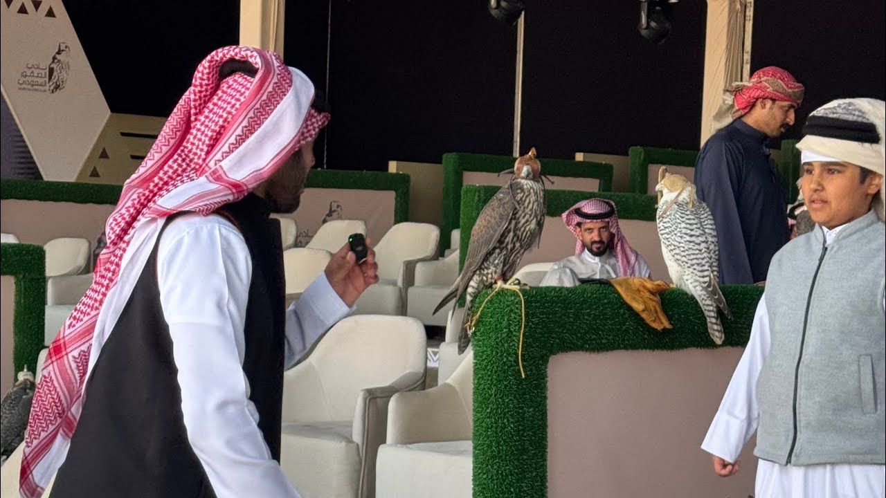 كأس نادي الصقور الأول ايهم اسرع طيره