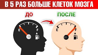 Как ускорить восстановление нервных клеток в 5 раз?