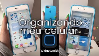 ORGANIZANDO MEU CELULAR DO ZERO POR PASTAS E COR 💙