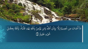 ته فسيرا ب ساناهي سورة(التغابن)بدەنگی( تحسین إبراهيم دوسكي) قورئان خوين (محمد صديق المنشاوي)