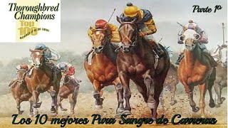 TOP 10🏇 Mejores Caballos Pura Sangre de Carreras de EEUU del S.XX 🏇 (1ºParte) screenshot 5