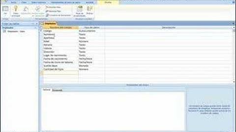 Access 2007-Creacion de una tabla (empleados)