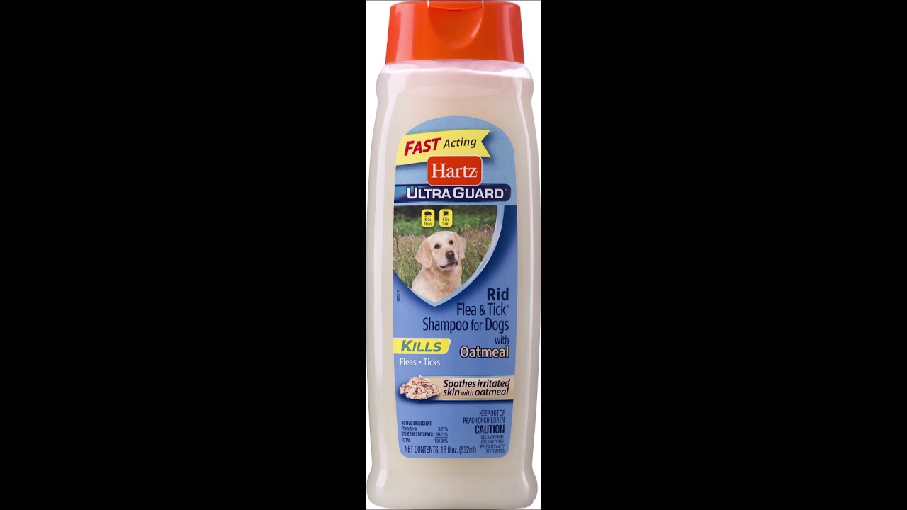 Hartz Shampoo- Is It Killing Animals?