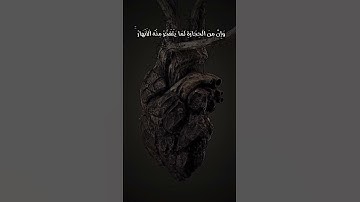 ثم قست قلوبكم #اكسبلور #ايات_قرانيه_قصيره #ارح_قلبك #سورة_البقرة #مشاري_العفاسي #قست_قلوبكم🫀🪨