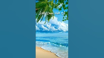 تلاوة هادئة لبعض آيات القرآن الكريم