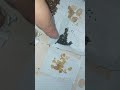 اسماء عشوب الدكر عشبة عشبة اسماء عشوب الدكر عشبة عشبة