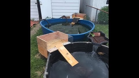Making A Nesting Box For The Stock Tank