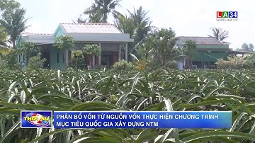 Phân bổ vốn từ nguồn vốn thực hiện Chương trình mục tiêu quốc gia xây dựng NTM | LONG AN TV