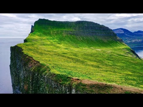 Video: Hornstrandir Nature Reserve: Panduan Lengkap